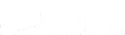 Cedinsa logotype